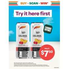 SFGE001JAN26C  WINDOW POSTER 2