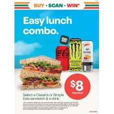 SFGE001JAN26E  WINDOW POSTER 3