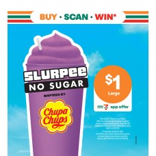 SFGE013JAN26B  PULSE PUMP DISPENSER 327h x 296w (SS)  SIDE 2 