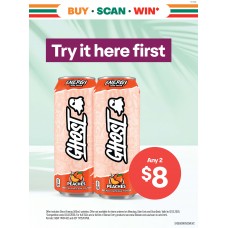 SFGE001NOV25REVC  WINDOW POSTER 2