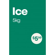 ICIS-0096AUG25 - Ice Freezer Insert 